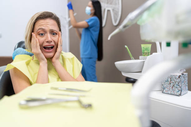 Best Emergency Dental Services for Seniors in Boulder Hl, IL