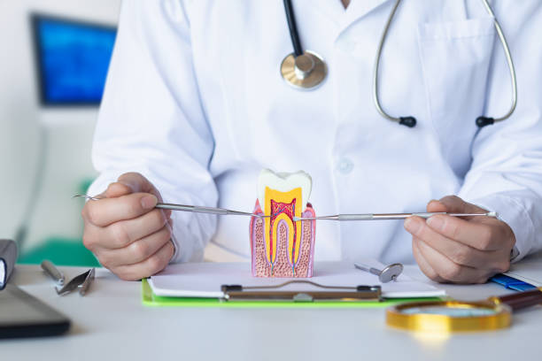 Best Emergency Dental Services for Seniors in Boulder Hl, IL